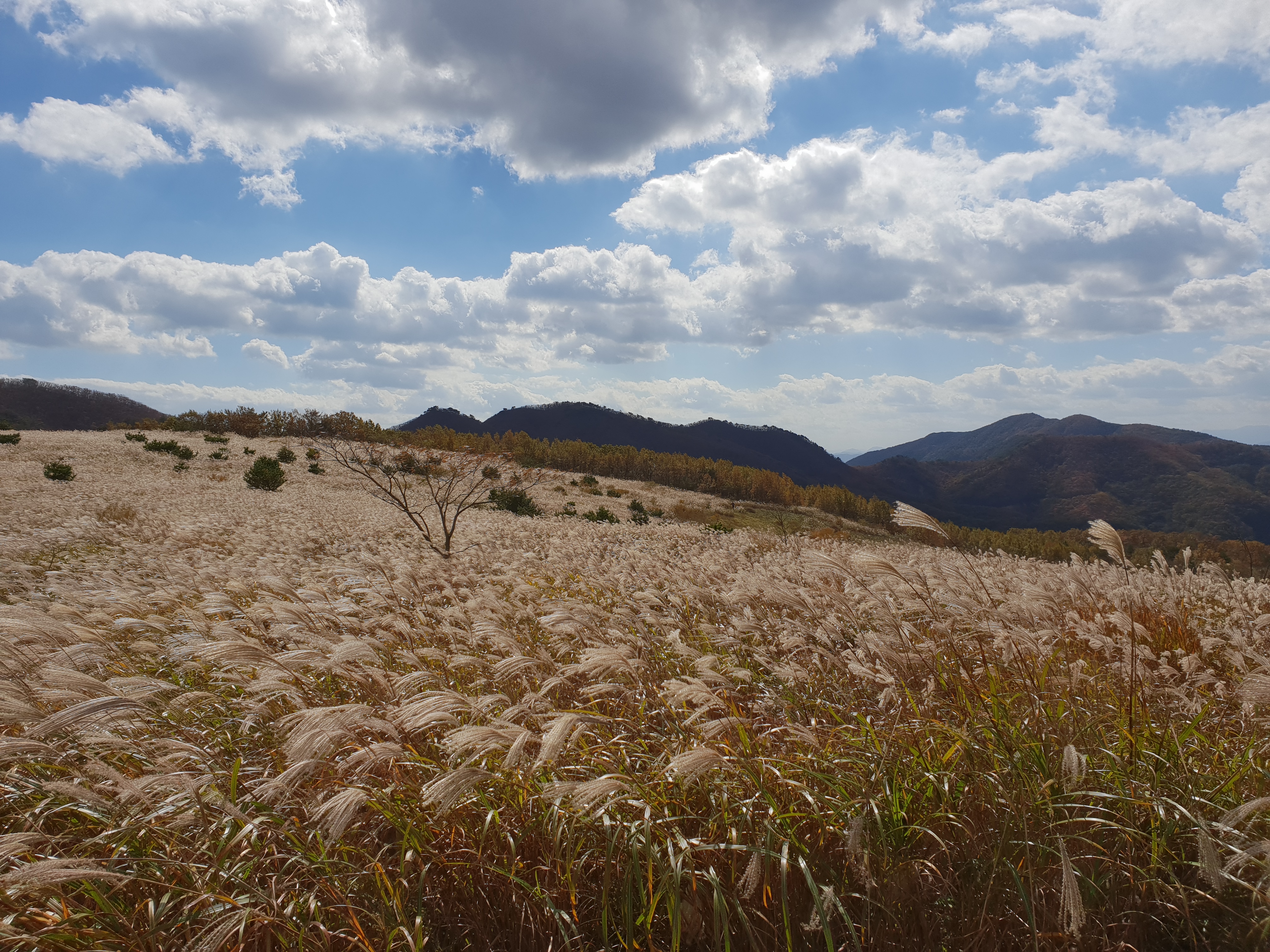 새로운 도약을 위한 전사 역량 집중 - 산행(경주-무장산)