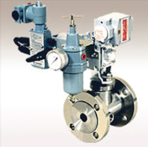 Ball Valve : Jacketed Type