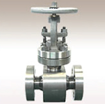 Globe Valve