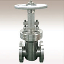 Gate Valve