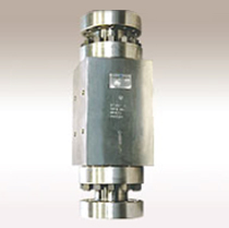 Straight Check Valve : Flange End