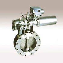 Butterfly Valve